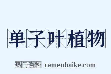 单子叶植物是什么意思的图片